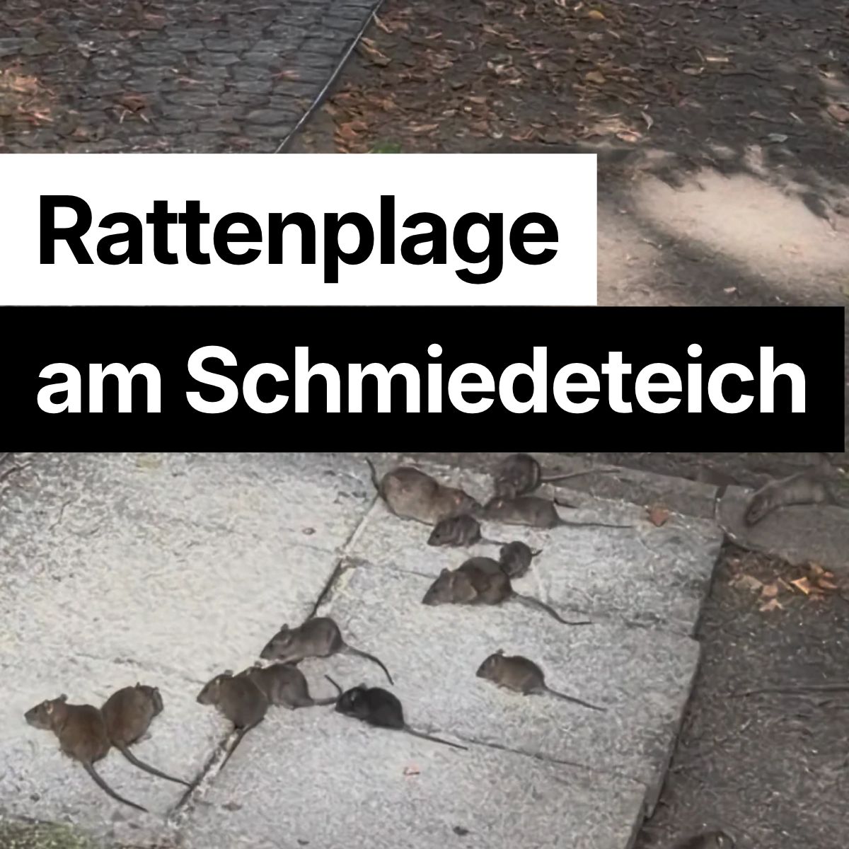 FÜTTERN VERBOTEN ! FÜTTERN VERBOTEN !